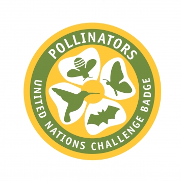 Pollinators - UN Challenge Badge (Pack of 10)