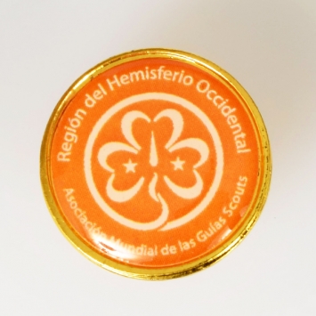 Western Hemisphere Regional Pin
